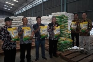 Pasokan Beras Dipastikan Aman Hingga Akhir 2024