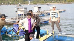 Cagub Luluk Dorong Pembangunan Ekosistem Budidaya Lobster di Trenggalek