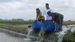 Tulungagung Terima 30 Ribu Bibit Ikan Patin dari LAZISNU Jatim