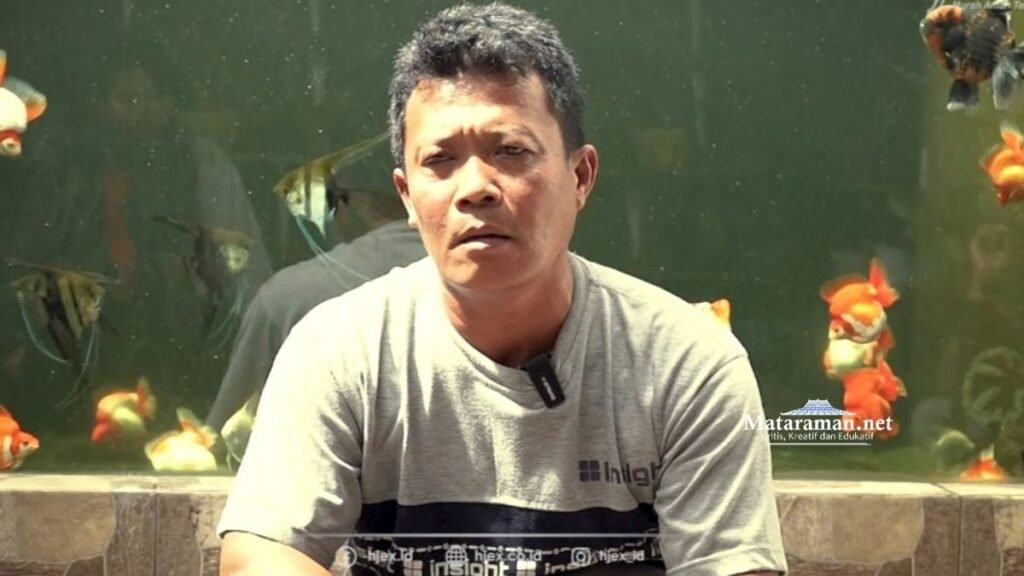 Permintaan Eksportir Ikan Mas Koki Capai 60 Ribu Ekor di DSA Wajak Lor Tulungagung