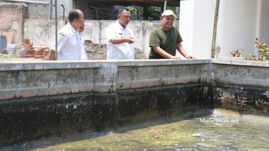Produsen Lele Hasilkan 5 Ton Per Hari, Pemkab Kediri Dorong Tingkatkan Nilai Jual