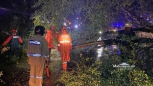Perempuan Trenggalek Meninggal Usai Tertimpa Pohon Asem Setinggi 11 Meter