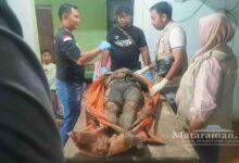 Kakek Blitar Kelelahan Saat Pladu Cari Ikan di Sungai Brantas