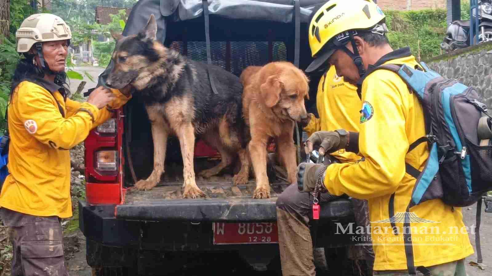 6 Korban Longsor Trenggalek Belum Ditemukan, 4 Anjing Pelacak Dikerahkan