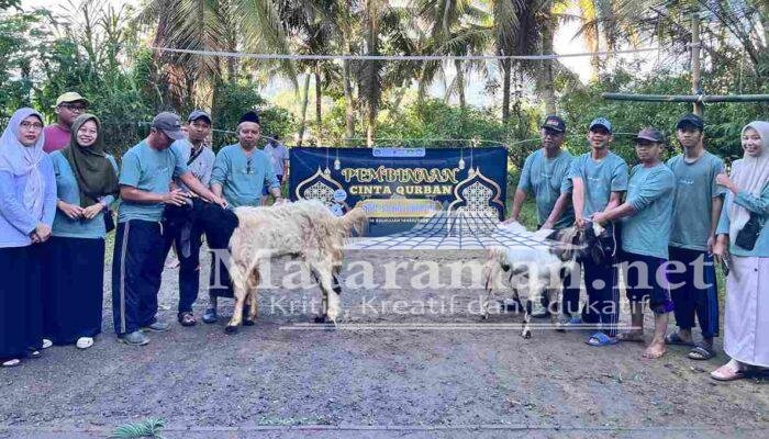 Momen Iduladha, SMP Islam Kampak Trenggalek Bagikan 70 Paket Kurban