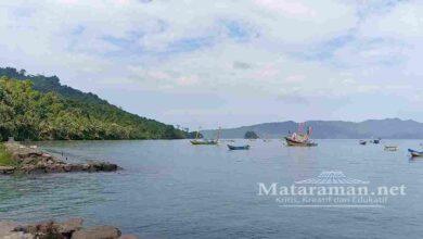 Cuaca Ekstrem, Harga Ikan Merangkak Naik di Trenggalek