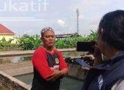Budi, Petani Lobster Air Tawar di Tulungagung Targetkan Penuhi Pasar Konsumsi