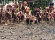 Khofifah Tanam Mangrove di Kegiatan Peningkatan Wasbang Kwarda Pramuka Jatim di Trenggalek