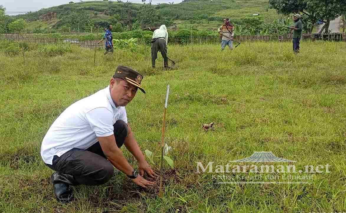 Kembalikan Fungsi Hutan, RPH Besuki Desa Besole Sukses Tanam Bibit Pohon Jati