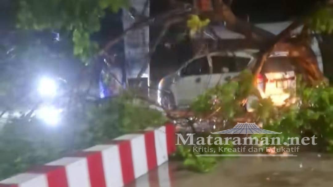 Pohon Tumbang Timpa Mobil di Bandung Tulungagung, Arus Lalu Lintas Sempat Lumpuh