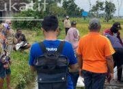 Bulog Tulungagung Optimis Serap 60an Ribu Ton Gabah Kering di 2026