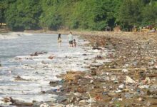 Hamparan Sampah Ancam Pariwisata Pantai Selatan di Tulungagung, Perhutani Angkat Bicara