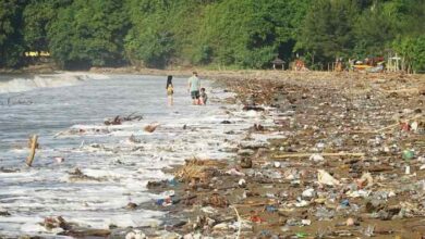 Hamparan Sampah Ancam Pariwisata Pantai Selatan di Tulungagung, Perhutani Angkat Bicara
