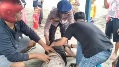 Lima Selamat, 1 Wisatawan Hilang Terseret Ombak di Pantai Sine Tulungagung
