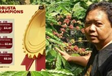 Membanggakan, Pria Kota Blitar Sabet Juara 2 Robusta di WE Kopi Kolaborasi Season 6