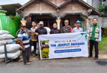 Meski Bulan Ramadan, Perum Bulog Tulungagung Tetap Gencarkan Serapan Gabah-Jagung