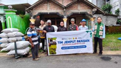 Meski Bulan Ramadan, Perum Bulog Tulungagung Tetap Gencarkan Serapan Gabah-Jagung