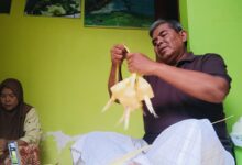 Tradisi Kupatan Durenan Trenggalek, Satu Rumah Bisa Siapkan 5 Kg Siap Masak Ketupat