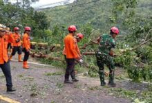 Evakuasi Material Longsor Jalur Trenggalek-Ponorogo Dikebut, Wagub Jatim Dijadwalkan Tinjau Lokasi Sore Ini