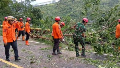 Evakuasi Material Longsor Jalur Trenggalek-Ponorogo Dikebut, Wagub Jatim Dijadwalkan Tinjau Lokasi Sore Ini