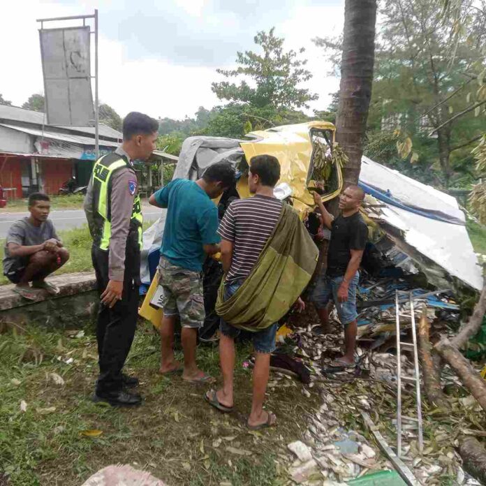 Truk Boks Muat Ikan Tabrak Pohon di JLS Tulungagung, Dua Orang Terluka