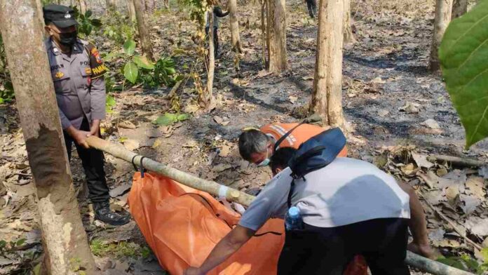 Mayat Pria Tanpa Identitas Ditemukan Membusuk di Area Hutan Tulungagung, Diduga Ini Penyebabnya