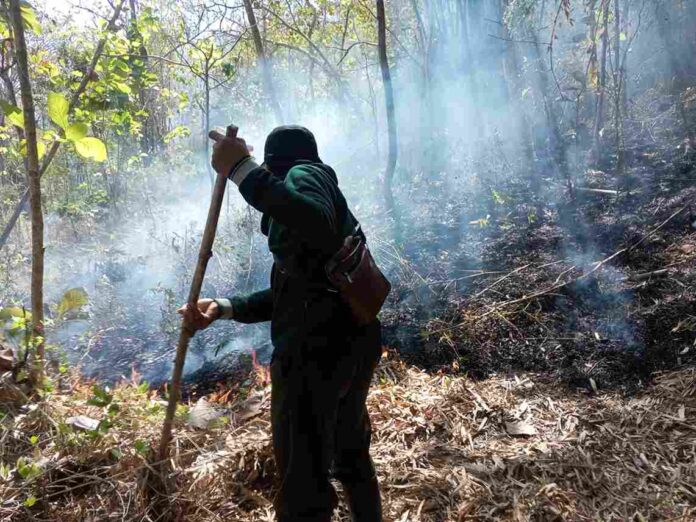 Gunung Budheg Tulungagung Terbakar, Ancam Keselamatan Satwa Dilindungi