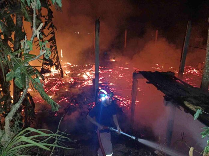 Diduga Kebocoran Gas, Kandang Ayam di Tulungagung Terbakar