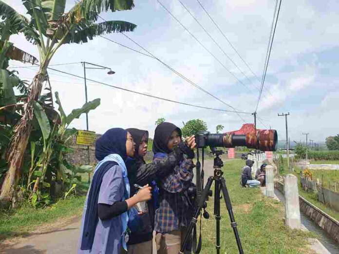 Alih Fungsi Lahan, Habitat Burung di Tulungagung Alami Penurunan