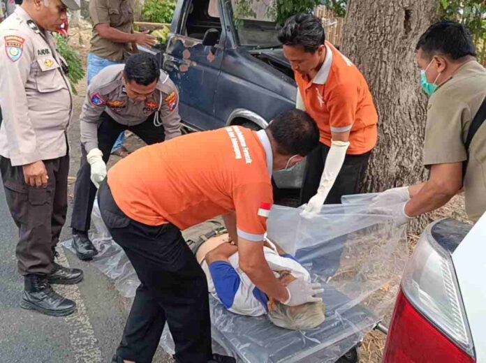 Oleng Hingga Tabrak Pohon, Sopir Mobil Pickup di Tulungagung Meninggal Dunia
