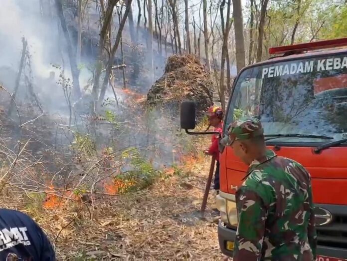 Lahan Seluas 5 Hektare di Gunung Budeg Tulungagung Terbakar