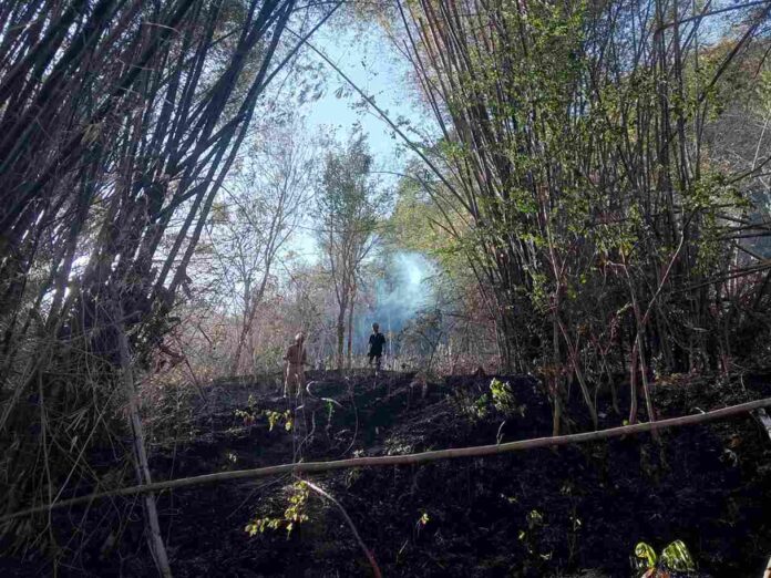 Area Perbukitan Seluas Hingga 3 Hektare di Sumbergempol Tulungagung Terbakar