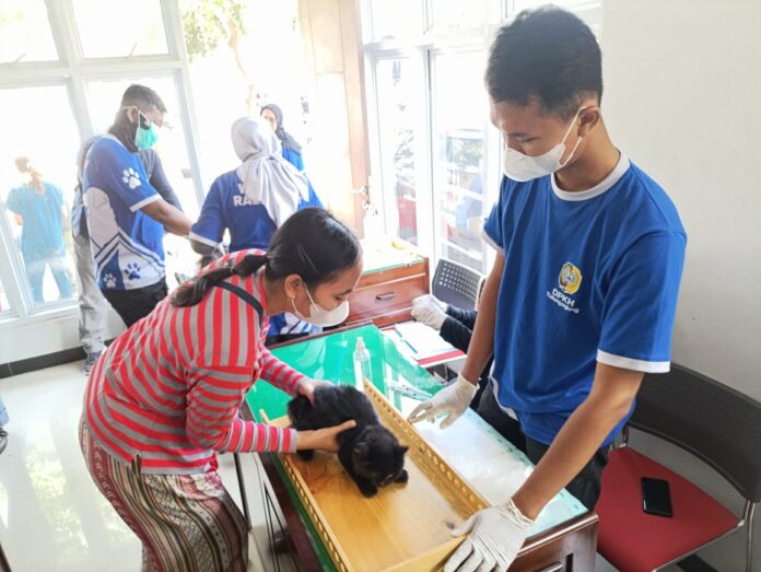 Tulungagung Gelar Vaksinasi Rabies Gratis, 500 Dosis Vaksin Rabies Disiapkan