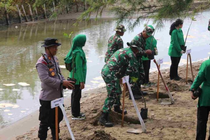 Sambut HUT ke-81 TNI, Kodim 0807 Tulungagung Tanam Mangrove di Pantai Bayem