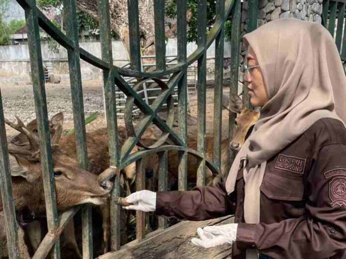 Lama Tak Dibenahi, Kebun Binatang Mini di Pendopo Tulungagung Bakal Direvitalisasi