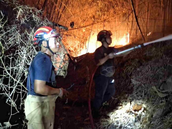Diduga Sengaja Dibakar, Ada 46 Kasus Karhutla di Tulungagung Selama 10 Bulan