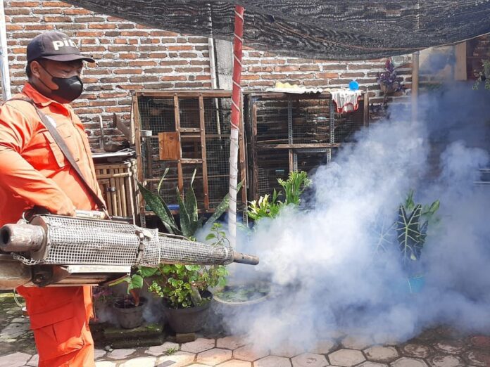 Dua Orang Meninggal, DBD di Tulungagung Tembus 315 Kasus