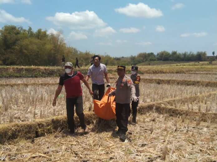 Polsek Kalangbret Tulungagung Selidiki Temuan Mayat Mr. X di Sawah, Begini Kronologinya