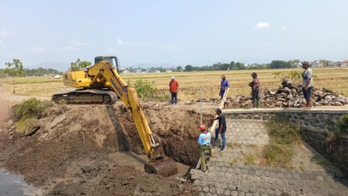 Cegah Kerusakan Lebih Parah, Pemkab Tulungagung Perkuat Tanggul Dam Serut,